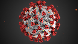 Coronavirus Update: November 2020